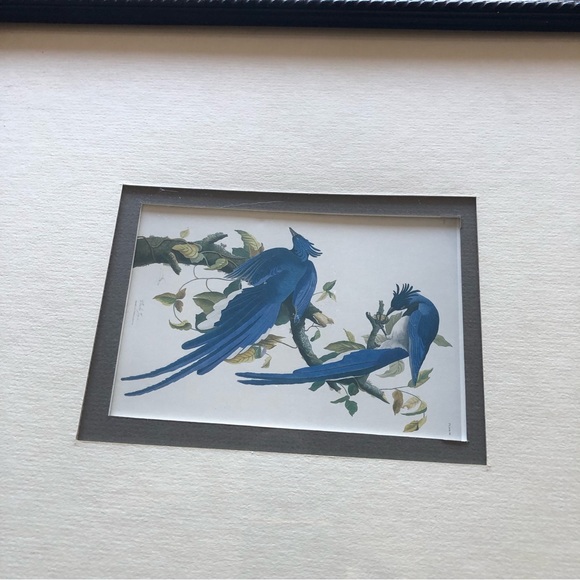 Vintage Bird Picture Frame - Picture 6 of 8